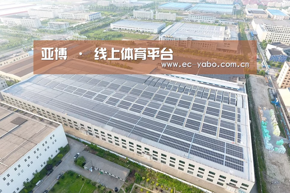 案例展示一