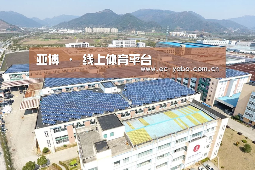 案例展示四