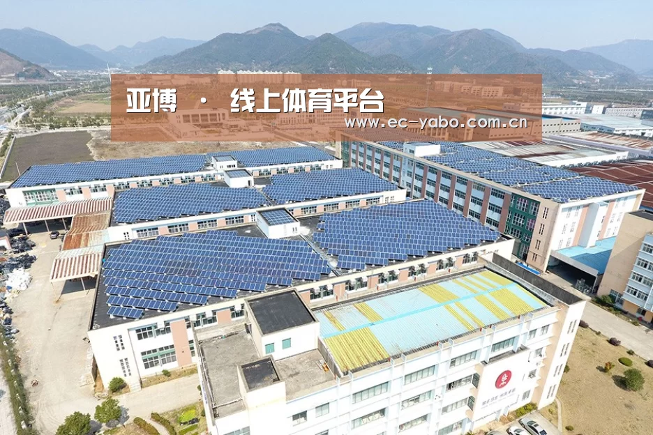 案例展示一
