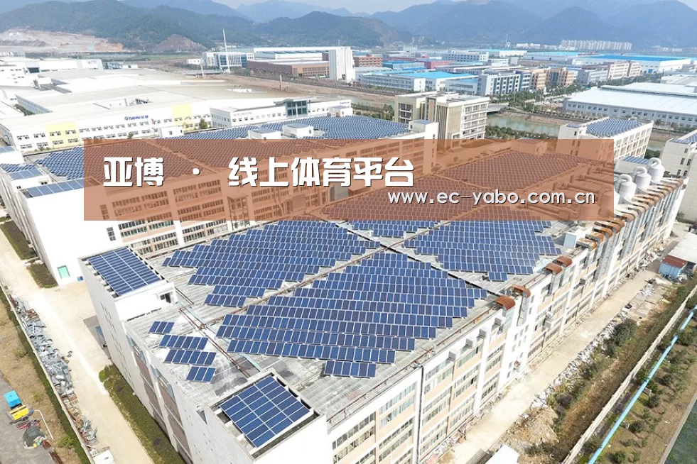 案例展示一