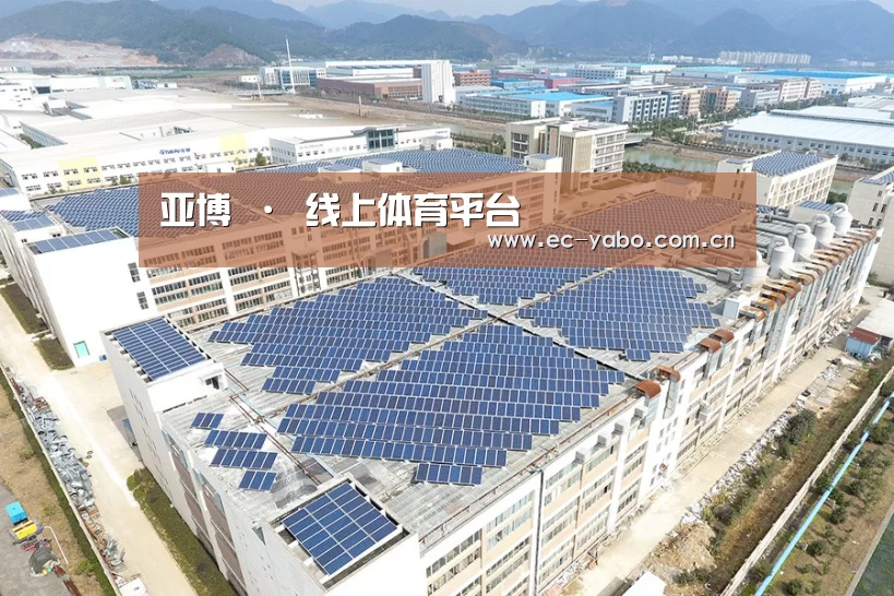 案例展示三