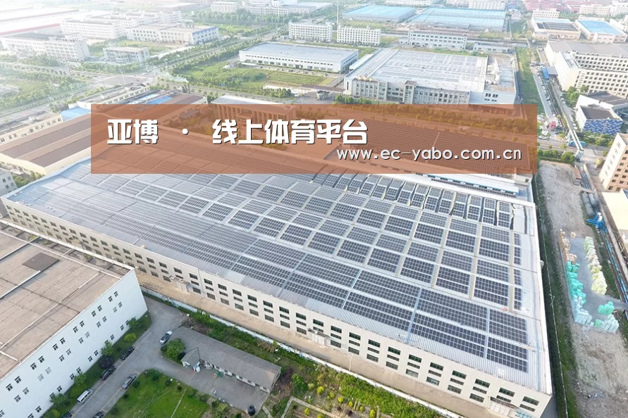 案例展示三