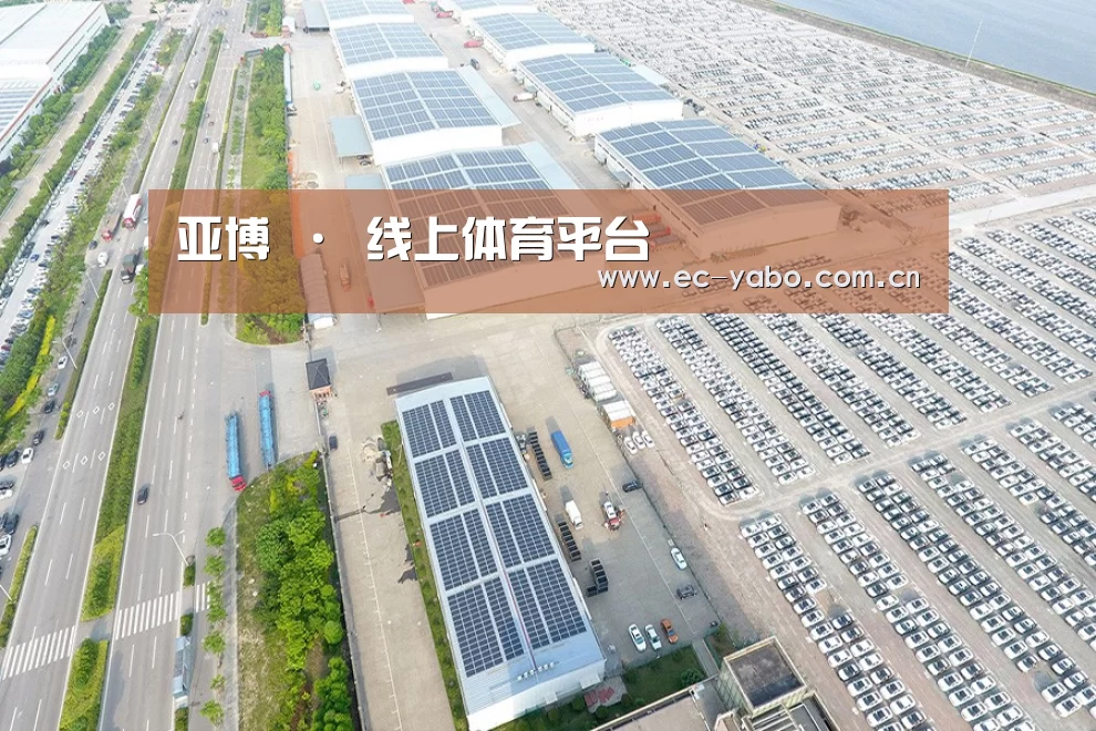 案例展示四