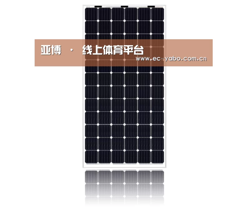 产品名称五
