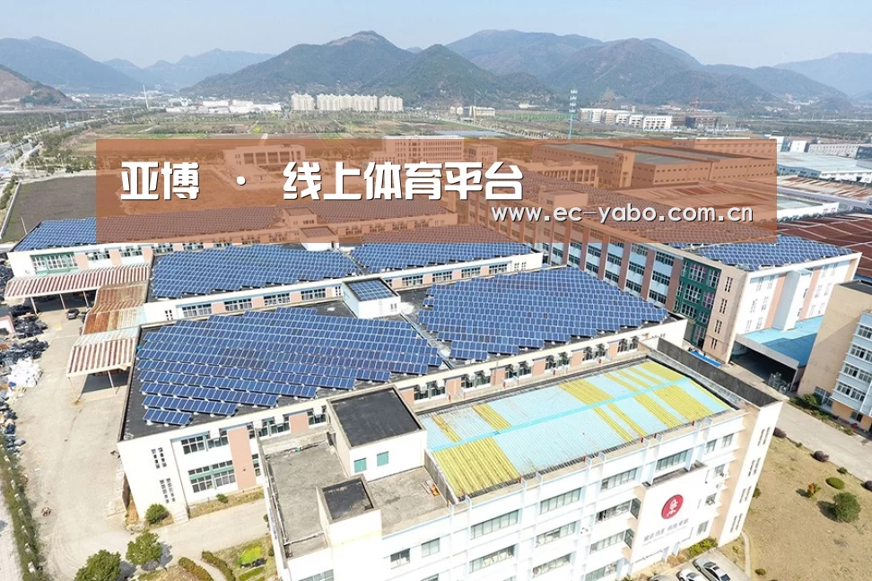 案例展示三