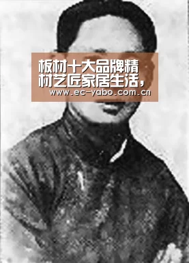 板材十大品牌精材艺匠家居生活，安“醛”第