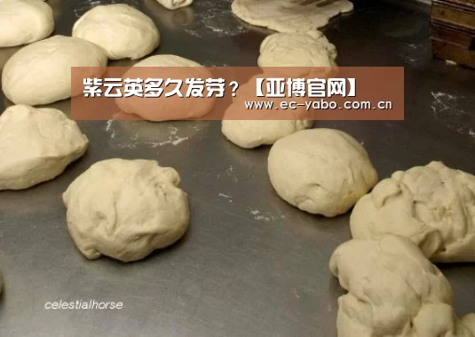 紫云英多久发芽?【亚博官网】(图3) 亚博体育下载