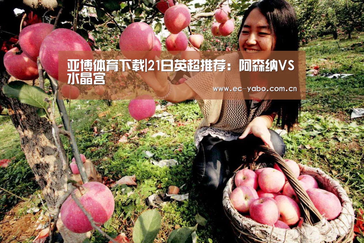 亚博体育下载|21日英超推荐:阿森纳VS水晶宫(图2) 亚博体育官网